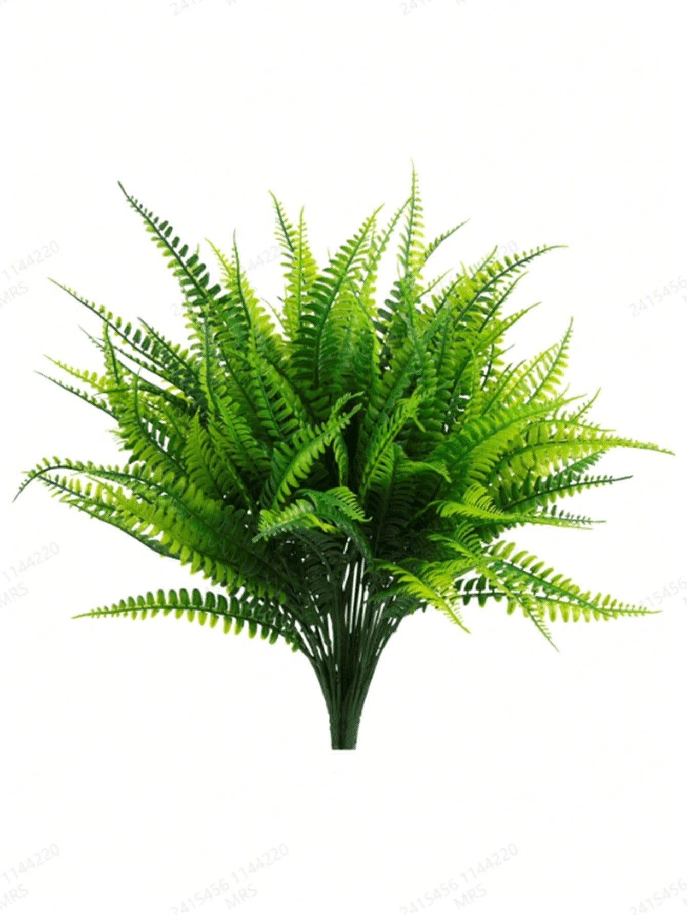 Emerald Fern Bundle – 10 Piece Set