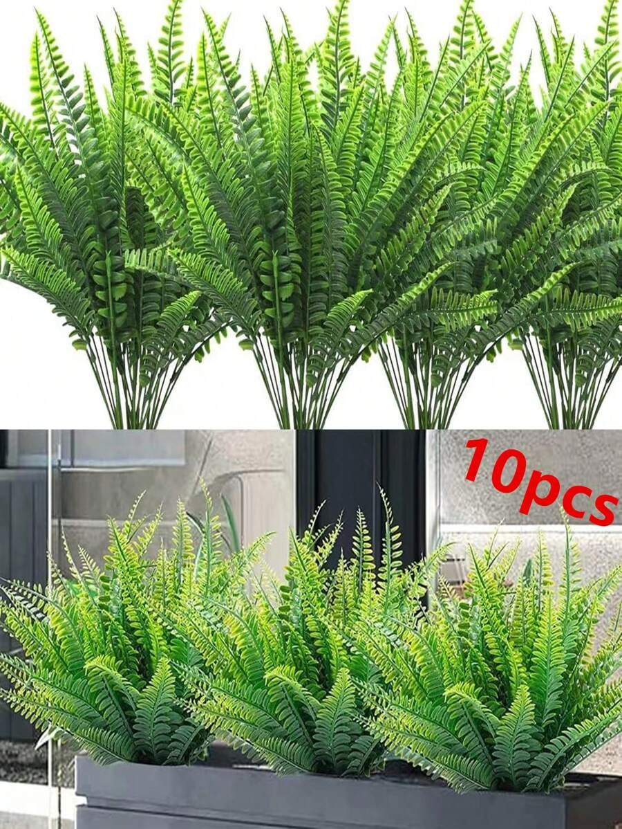 Emerald Fern Bundle – 10 Piece Set