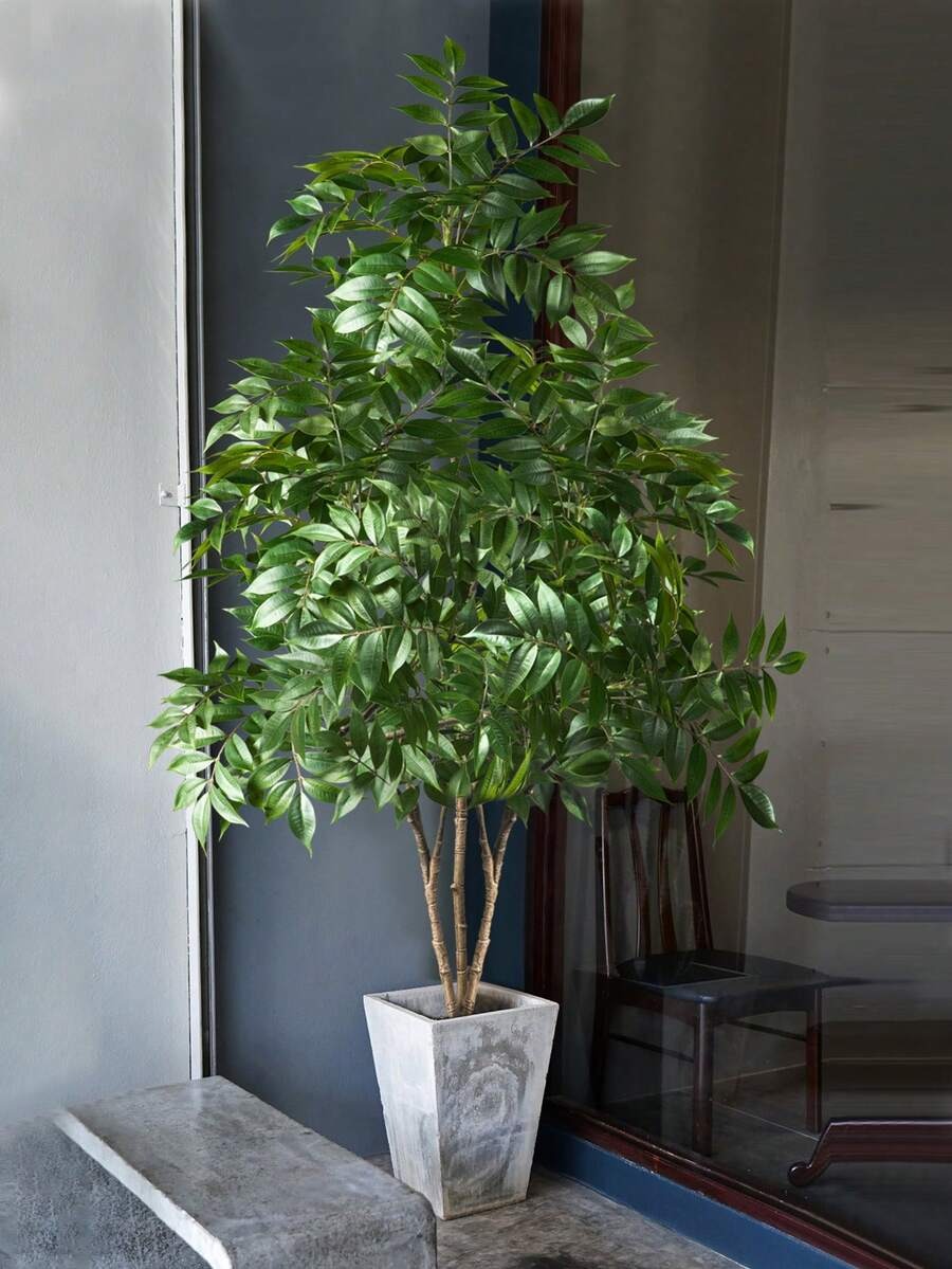 Emerald Ficus Tree – 140 cm