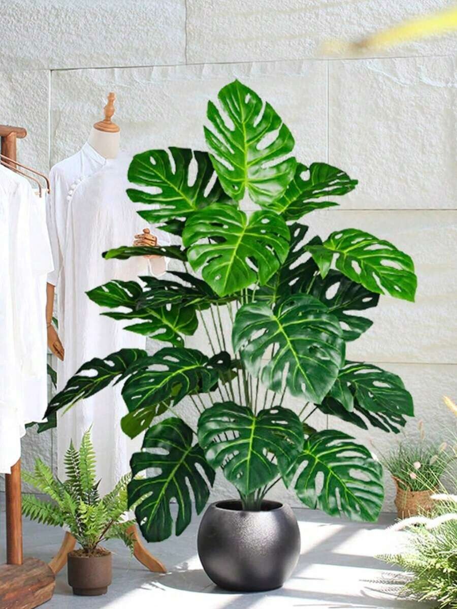 Monstera Deliciosa Tree – 100 cm