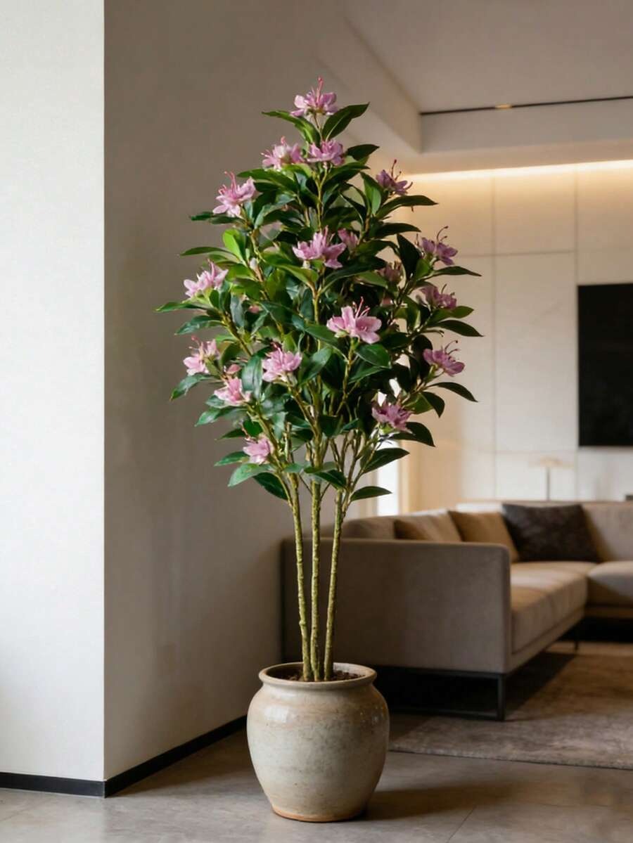 Blossom Magnolia Tree – 120 cm