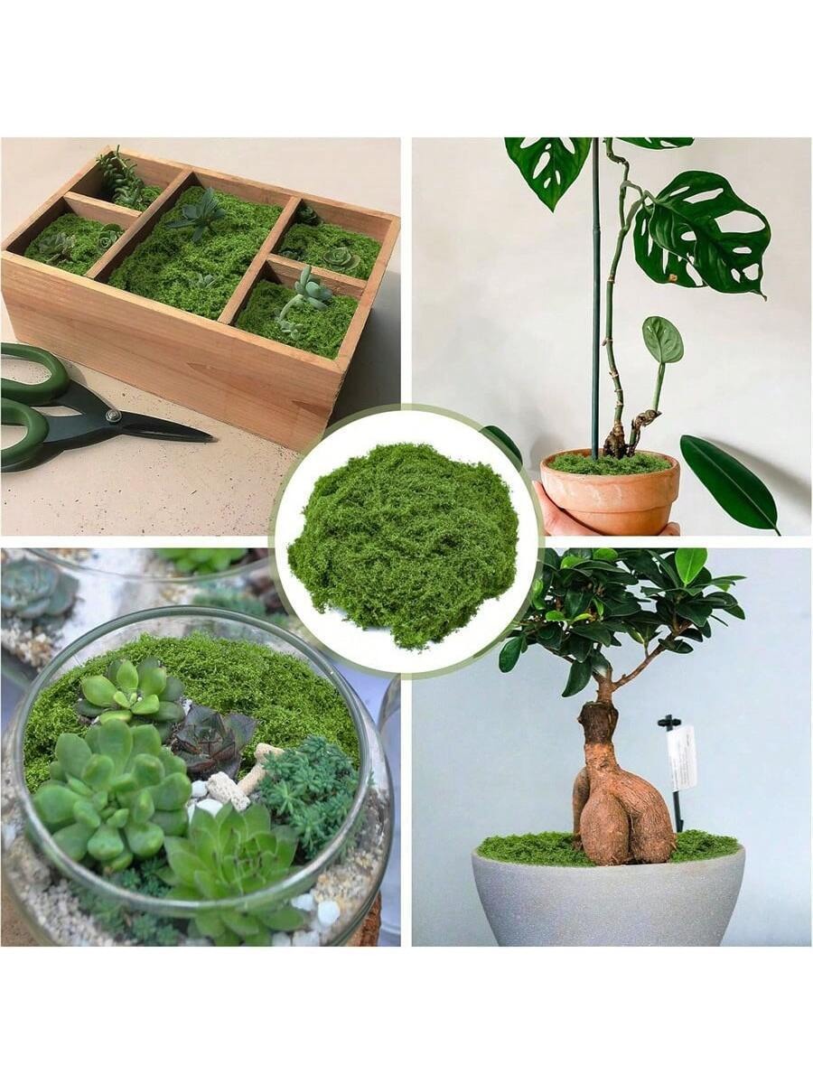 Preserved Moss – 200 g