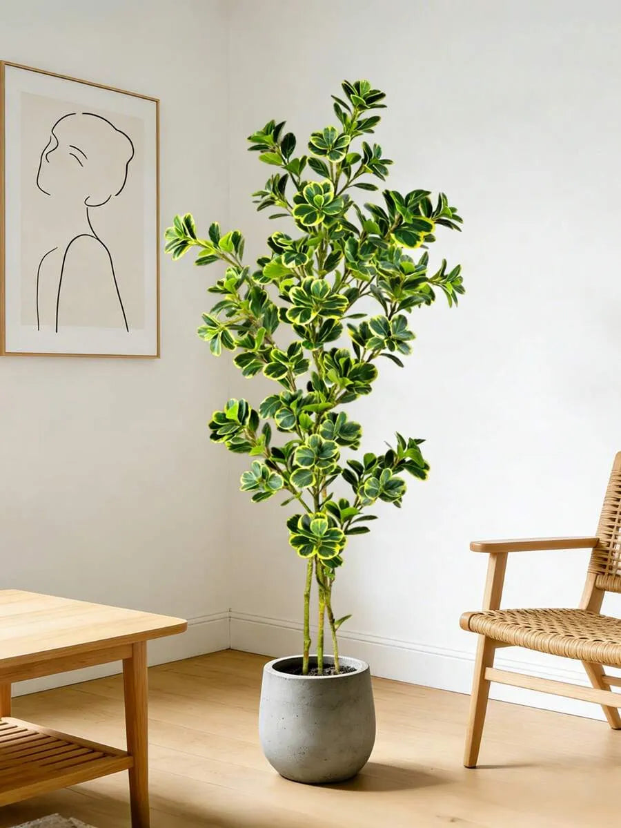Botanical Ficus Branch